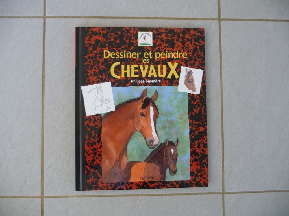 Livre dessiner et peindre les chevaux - Neuf 8 Celles-sur-Belle (79)