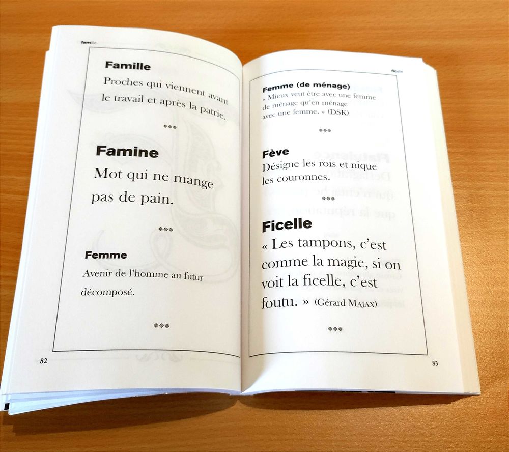 Livre Le Dictionnaire de Laurent Baffie 2 Chazelles-sur-Lyon (42)