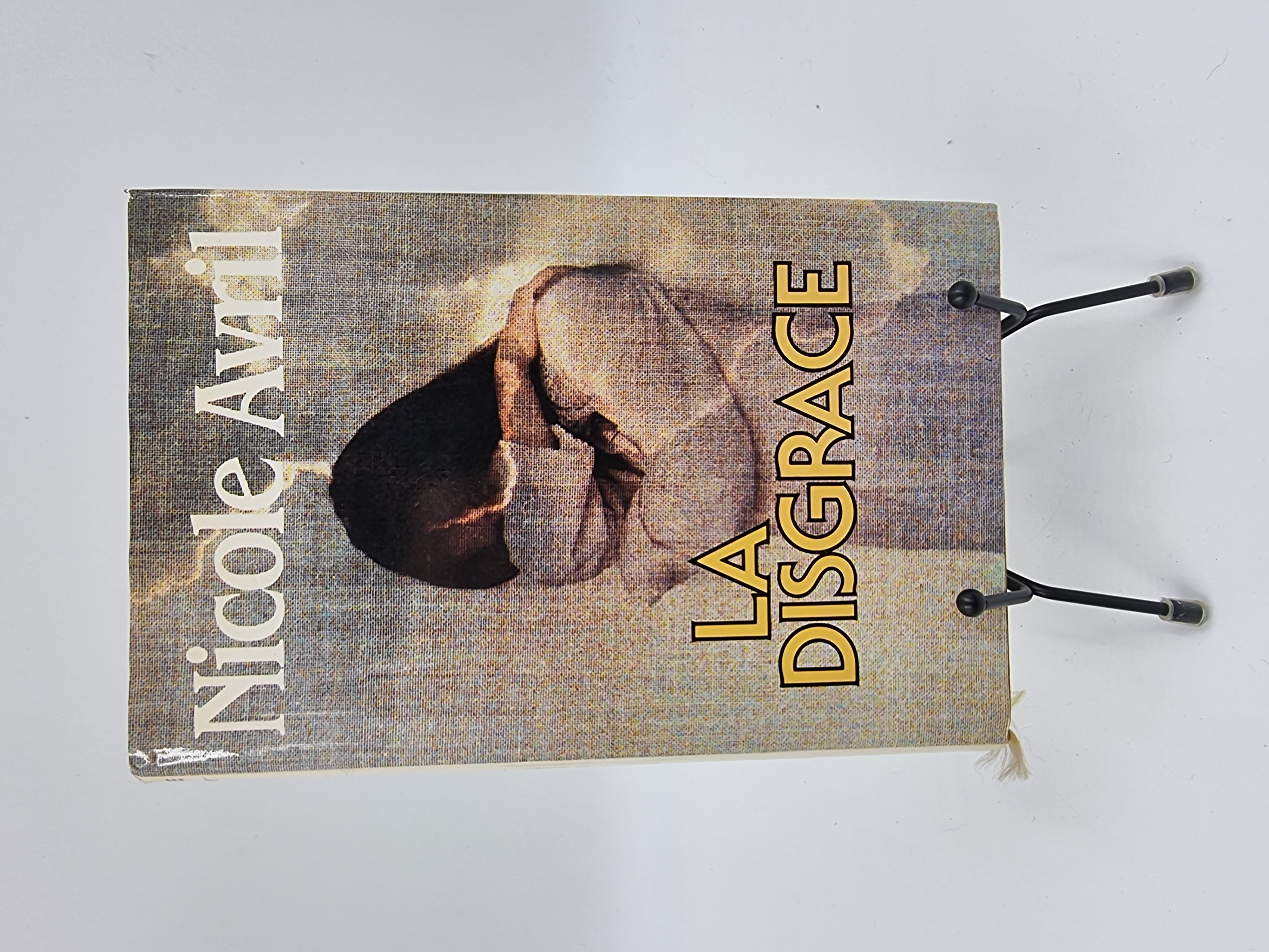 Livre La Disgr�ce (Nicole Avril) d'occasion 1 Vulbens (74)