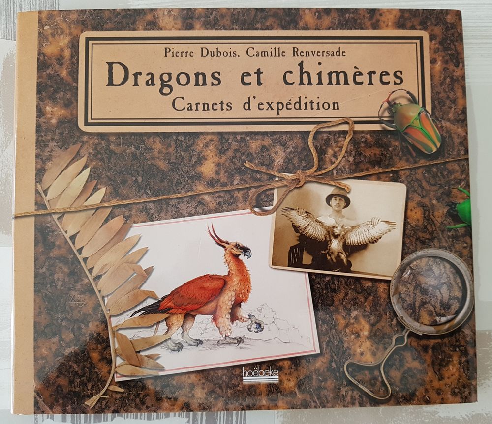 Livre  Dragons et chimères  20 Marignane (13)