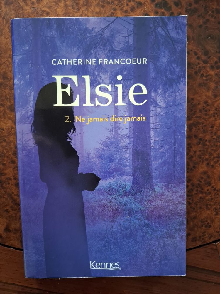 Livre  Elsie T02: Ne jamais dire jamais  Catherine Francoeur 3 La Chapelle-Saint-Luc (10)
