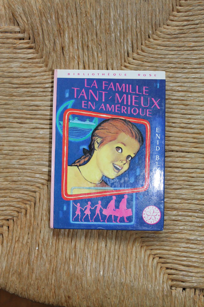 LIVRE ENFANT LA FAMILLE TANT MIEUX EN AMERIQUE 3 Dijon (21)