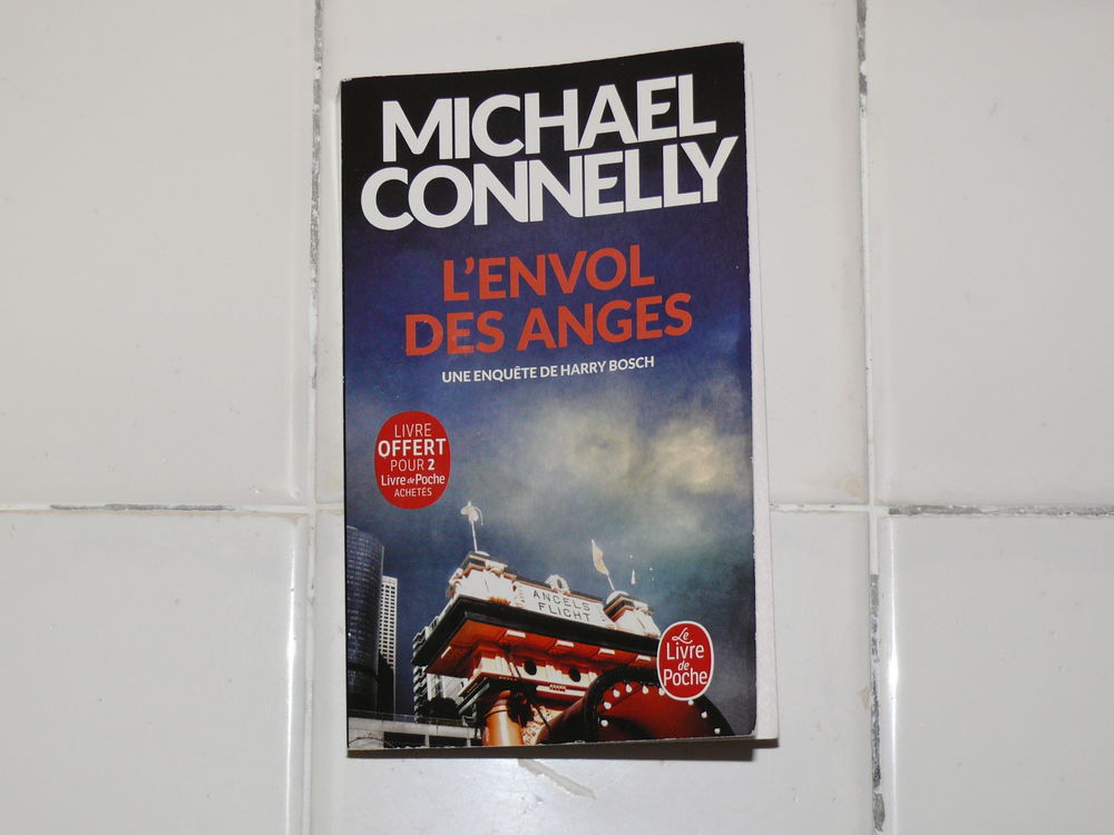 Livre :  L'envol des anges  1 Saintes (17)