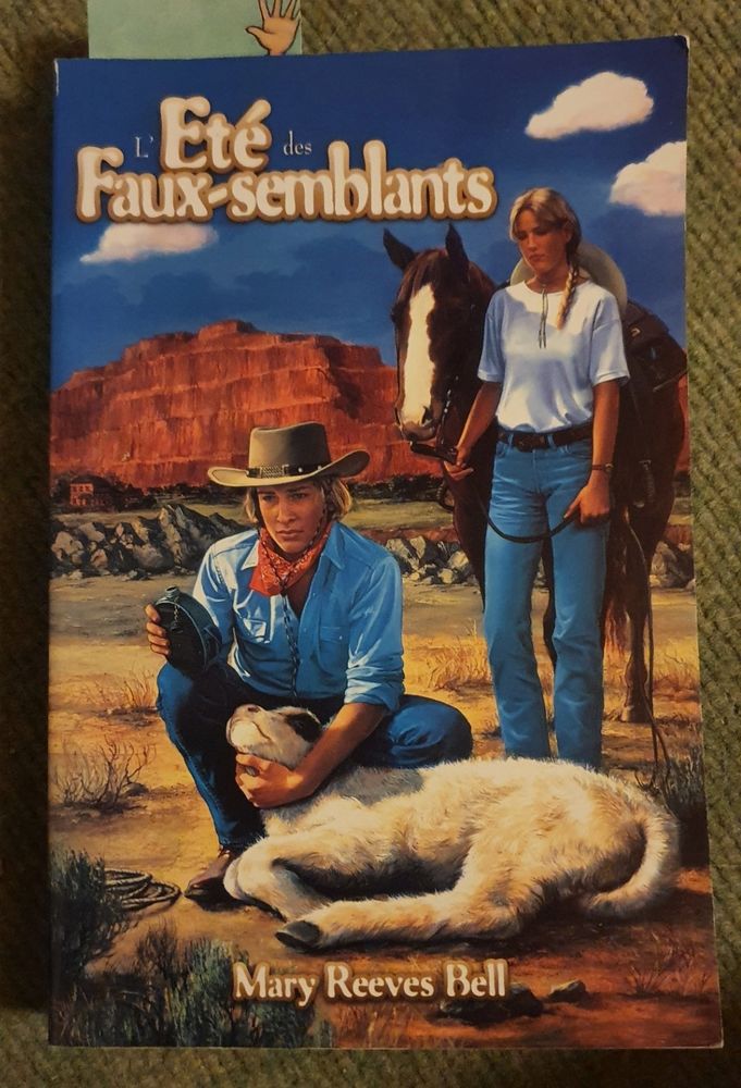 livre l'�t� des faux-semblants 2 Monistrol-sur-Loire (43)