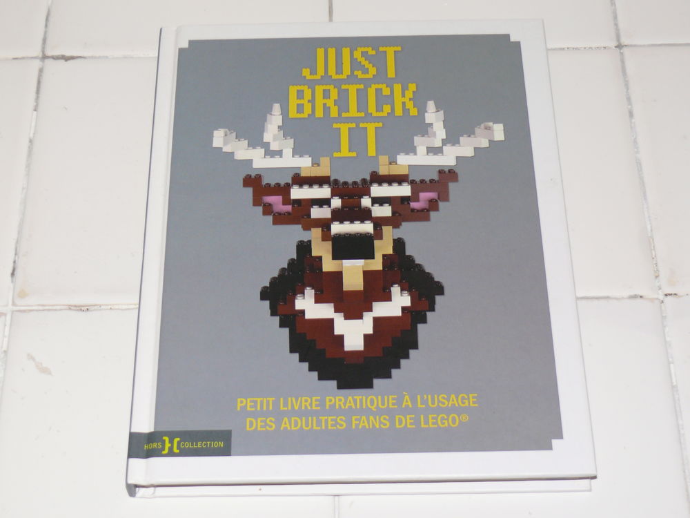 Livre :  Just brick it  8 Saintes (17)