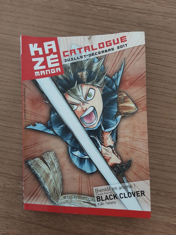 Livre K�sa manga 10 Saint-Baldoph (73)