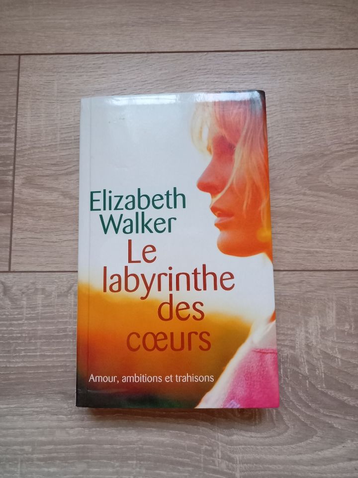 Livre  le labyrinthe des c?urs  1.5 Villiers (86)