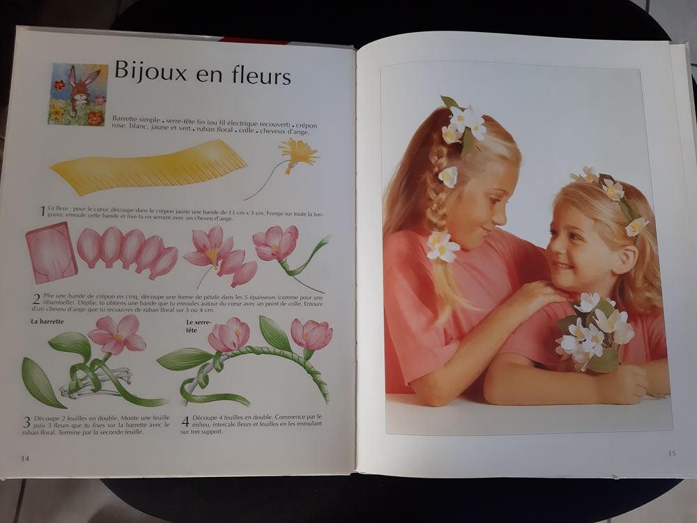 livre loisirs créatifs fleurs crépon et fimo 15 Villeurbanne (69)