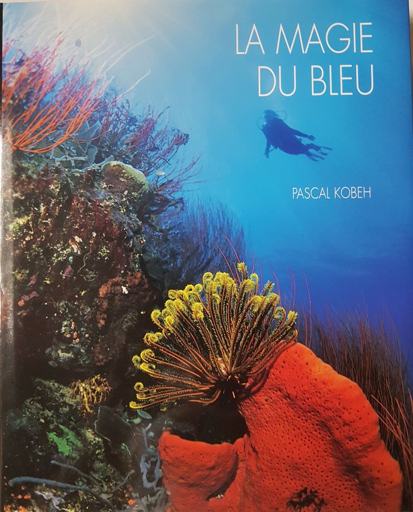 Livre  La magie du bleu  15 Marignane (13)