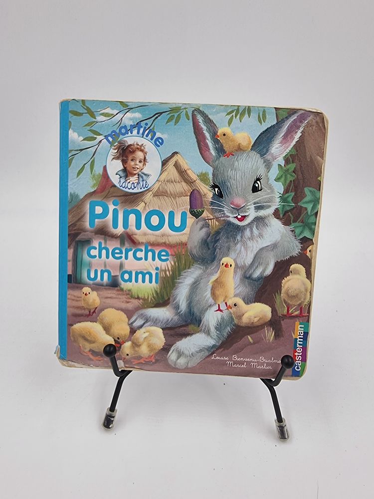 Livre Martine Raconte : Pinou Cherche un Ami d'occasion 1 Vulbens (74)