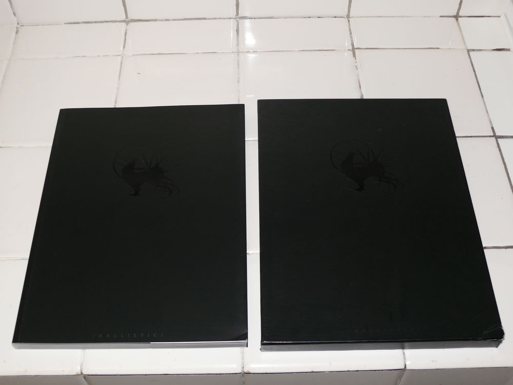 Livre :  Massive Black  16 Saintes (17)