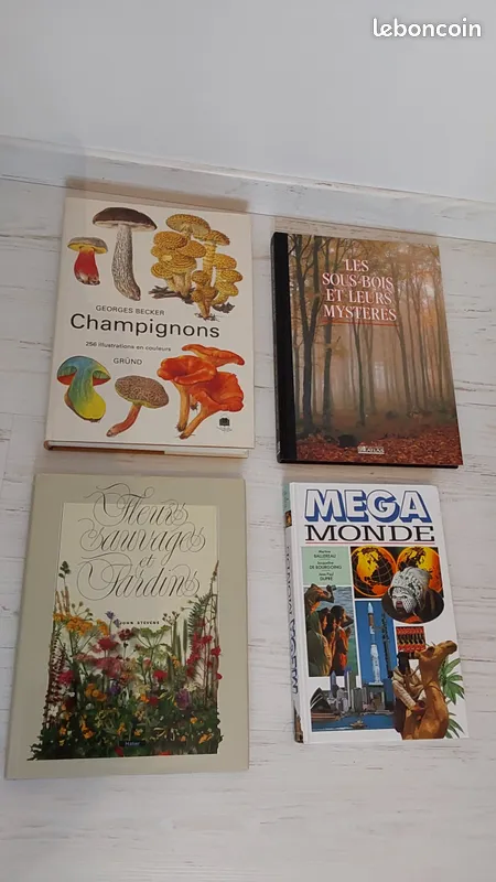 Livre MEGA MONDE 2 Pont-du-Ch�teau (63)