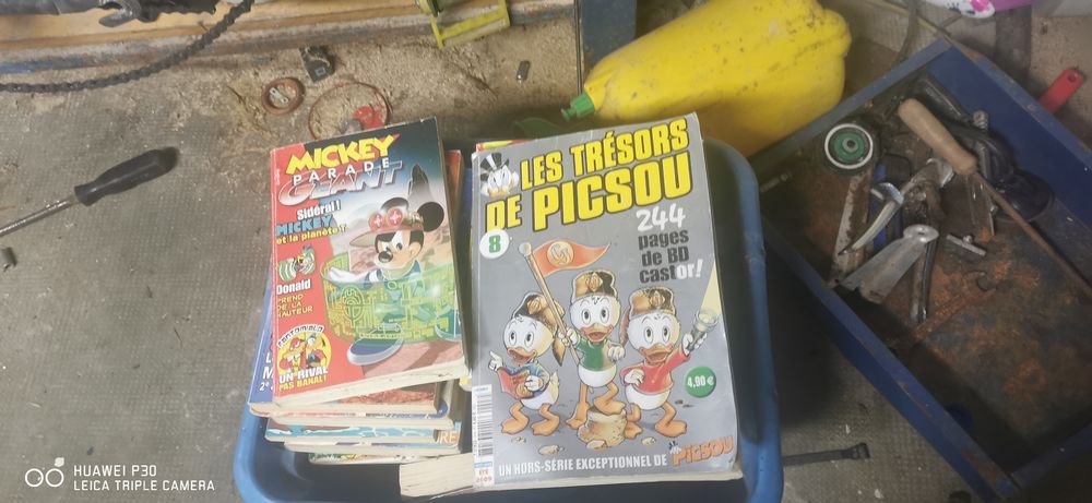 Livre mickey parade 30 La Croixille (53)
