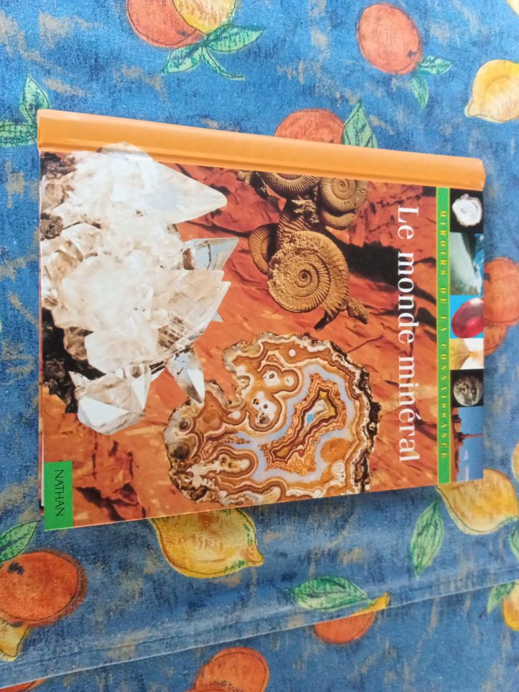 Livre Le Monde Min�ral 6 Sainte-Luce-sur-Loire (44)