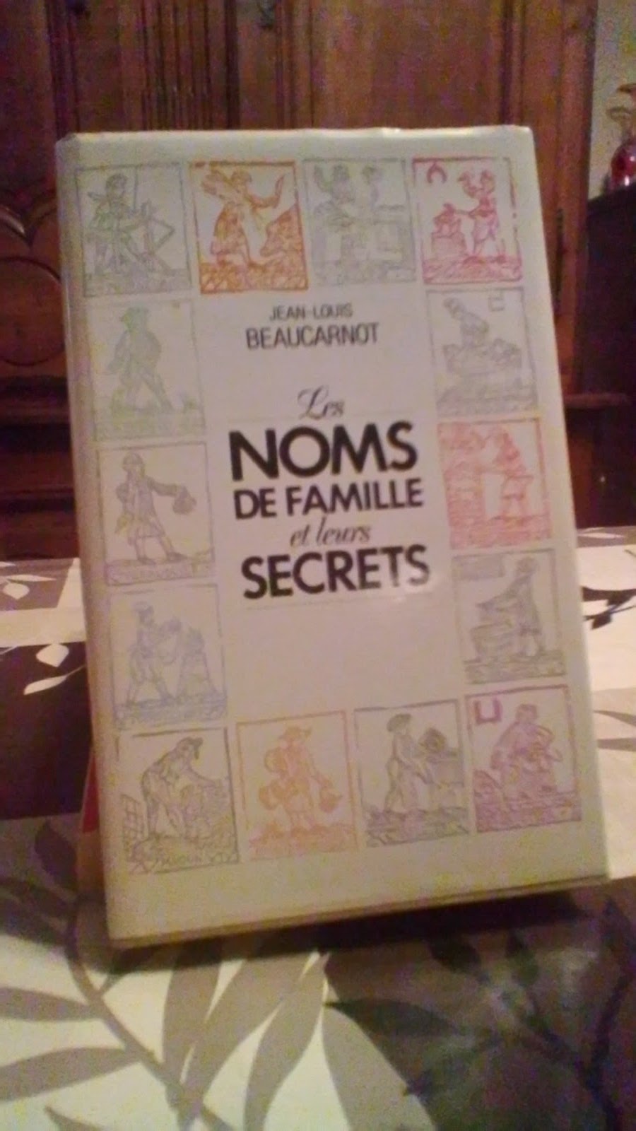 Livre : les noms de famille et leurs secrets 10 Avermes (03)