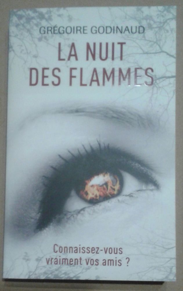 livre  La Nuit des flammes  9 Cramont (80)