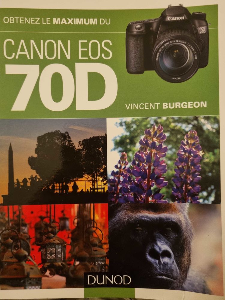 Livre obtenir le meilleur du 70D 20 Bron (69)