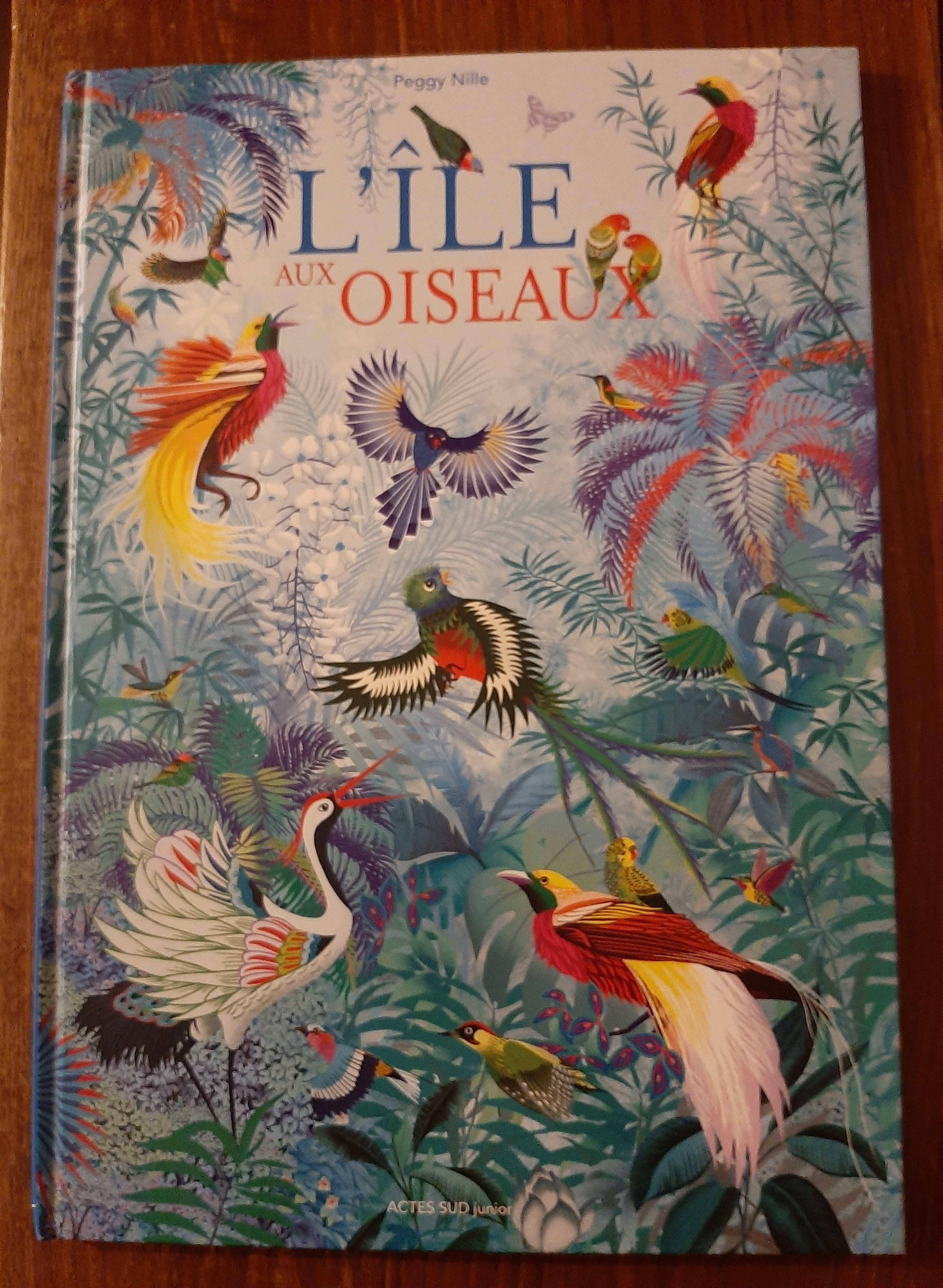 Livre  L'�le aux Oiseaux  8 Arles (13)
