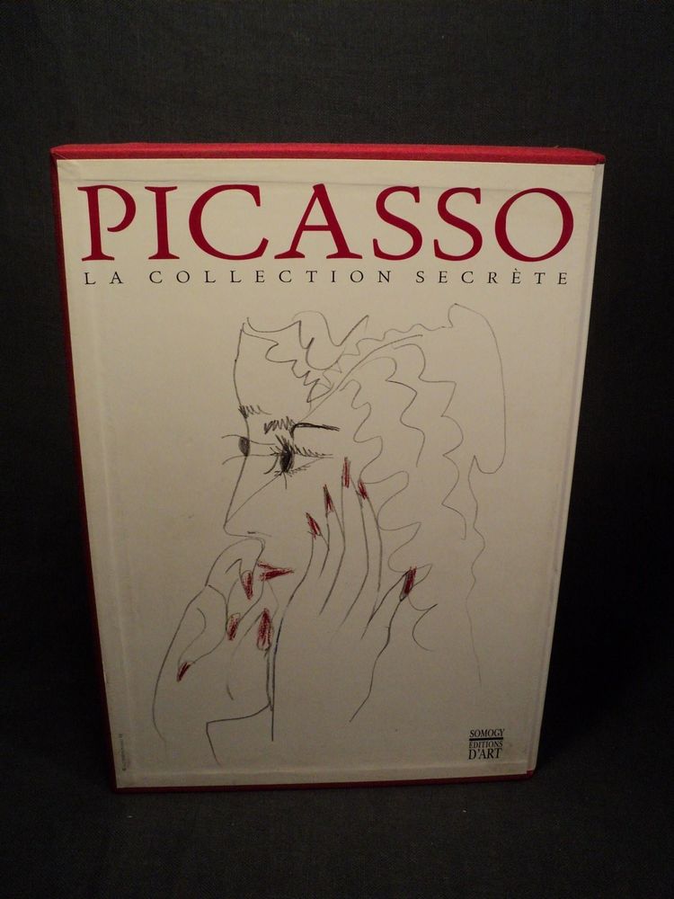 Achetez livre picasso occasion, annonce vente à Loches (37 