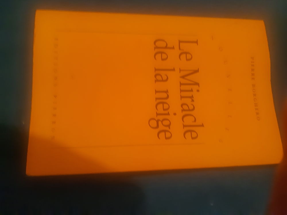 Livre de pierre borghero le miracle de la neige 2 Montb�liard (25)