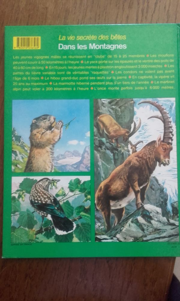 Livre pour enfant
La vie secr�te des b�tes 2 �tampes (91)