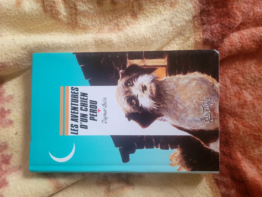 Livre pour enfant/ado en tr�s bon �tat. 3 Orl�ans (45)