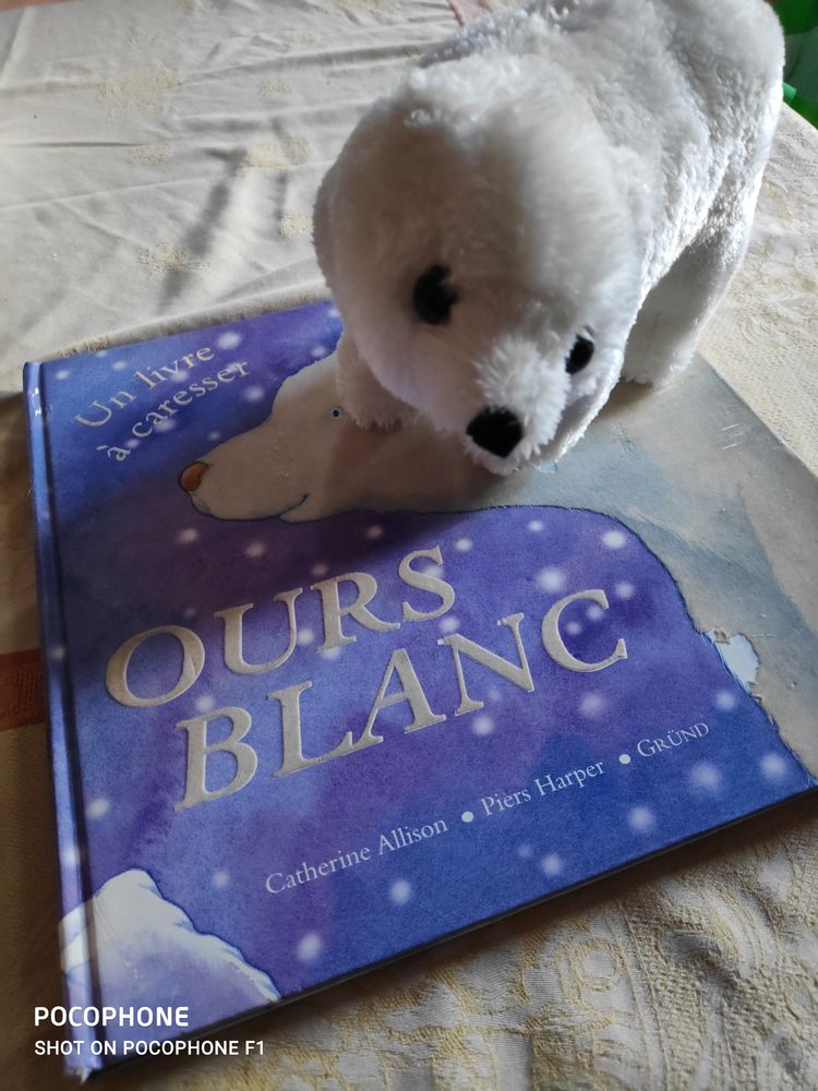 livre pour tout petits 4 Moosch (68)