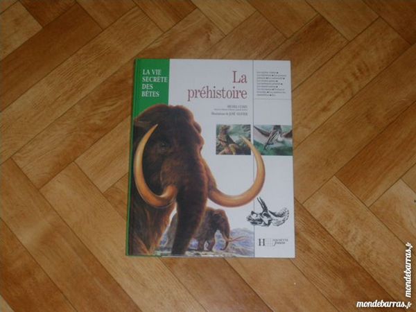 Livre  La pr�histoire  pour enfants (4) 3 Tours (37)