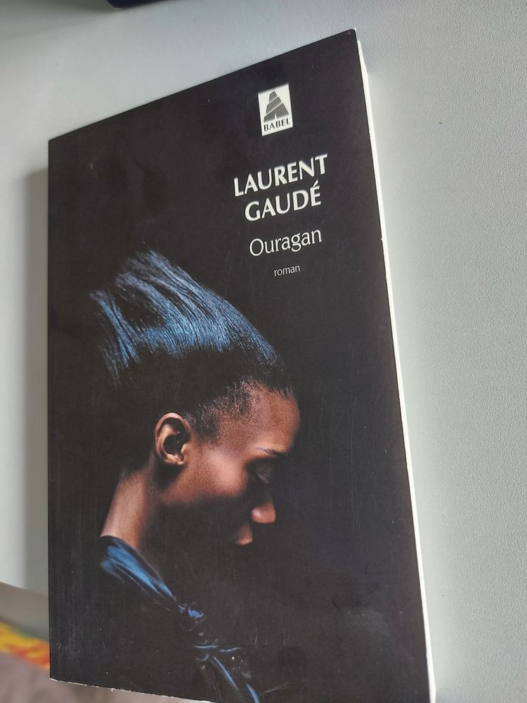 Livre quasi-neuf  Ouragan - Laurent Gaudé 7 Tours (37)