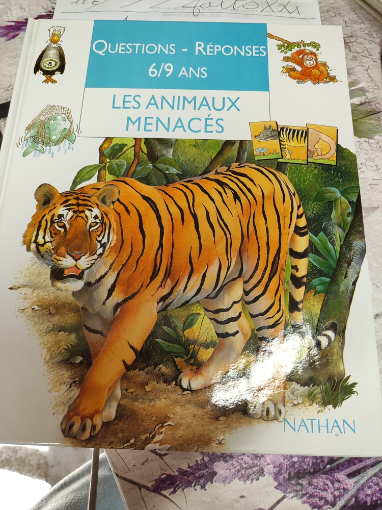 livre 9 questions r�ponse pour un enfant de 6 � 9 ans 15 Cavaillon (84)