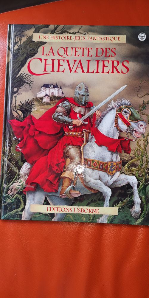 Livre La qu�te des chevaliers - D�s 6,8 ans 8 Izon (33)