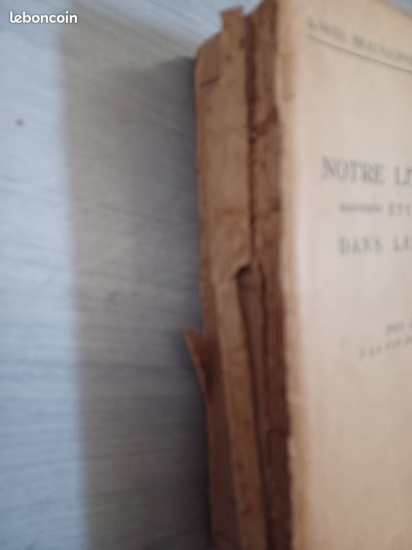 LIVRE A RESTAURER 4 Paray-le-Monial (71)