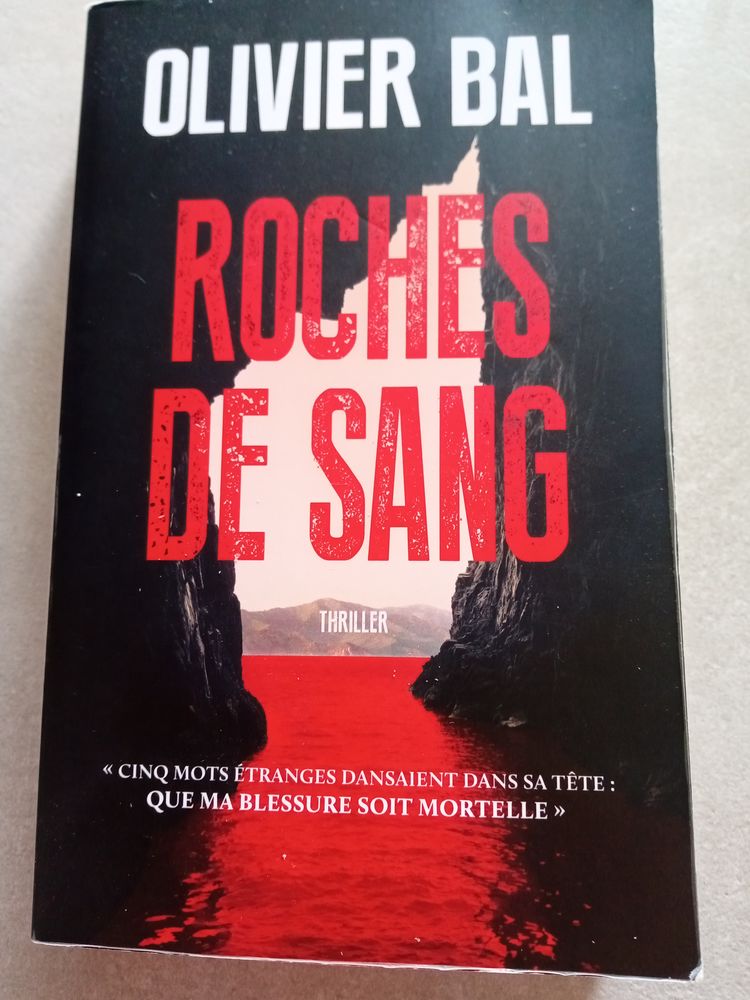 Livre   ROCHES DE SANG  5 Sainte-Mesme (78)