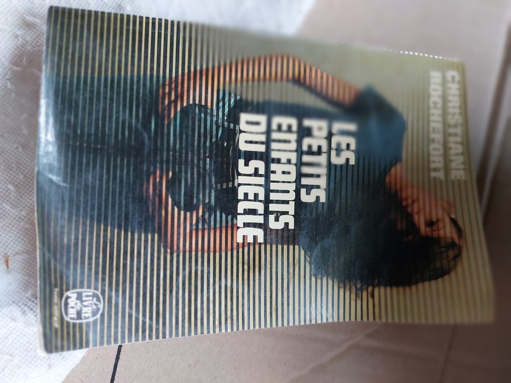 livre roman 1 Beauquesne (80)