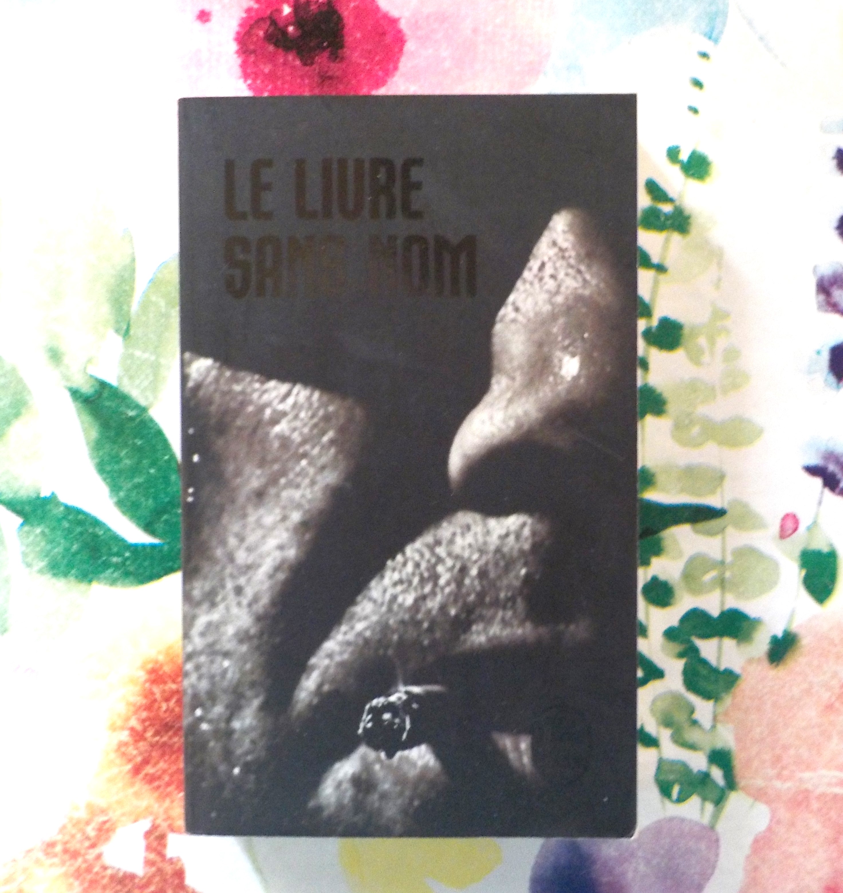 LE LIVRE SANS NOM de ANONYME Ed. Livre de poche 3 Bubry (56)