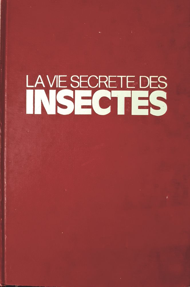 Livre  La vie secr�te des insectes  20 Marignane (13)