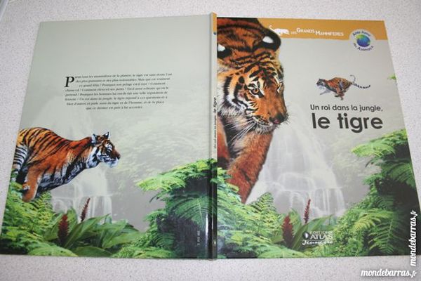 Livre Le tigre Primaire Collège MIROTON 3 Tournefeuille (31)