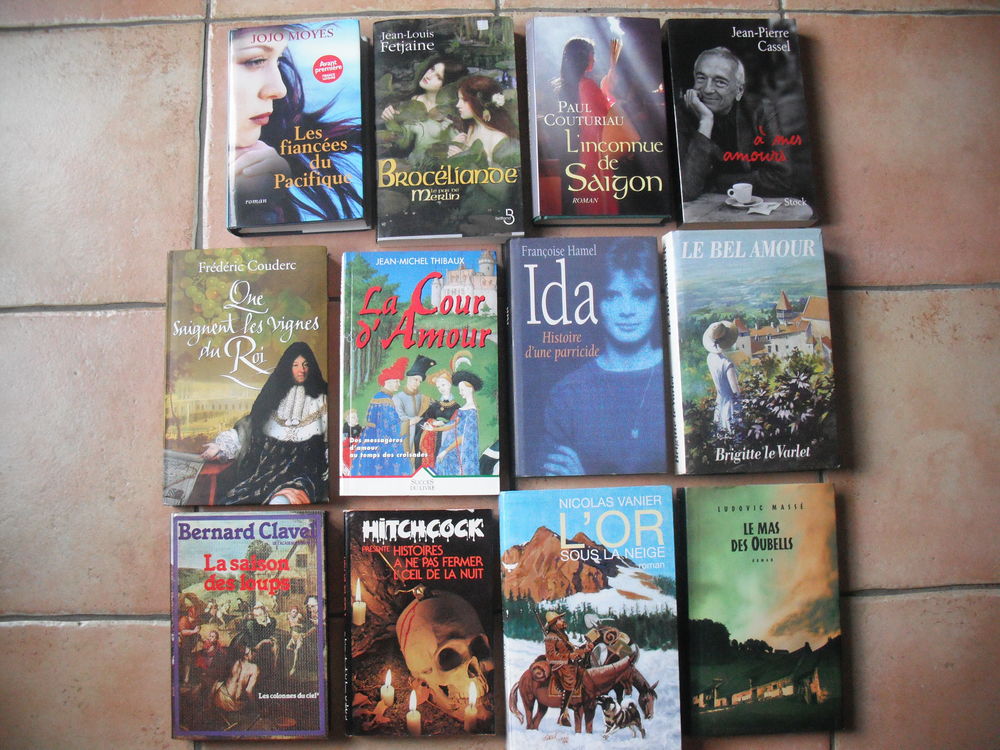 LIVRE EN VRAC 1 Quillan (11)