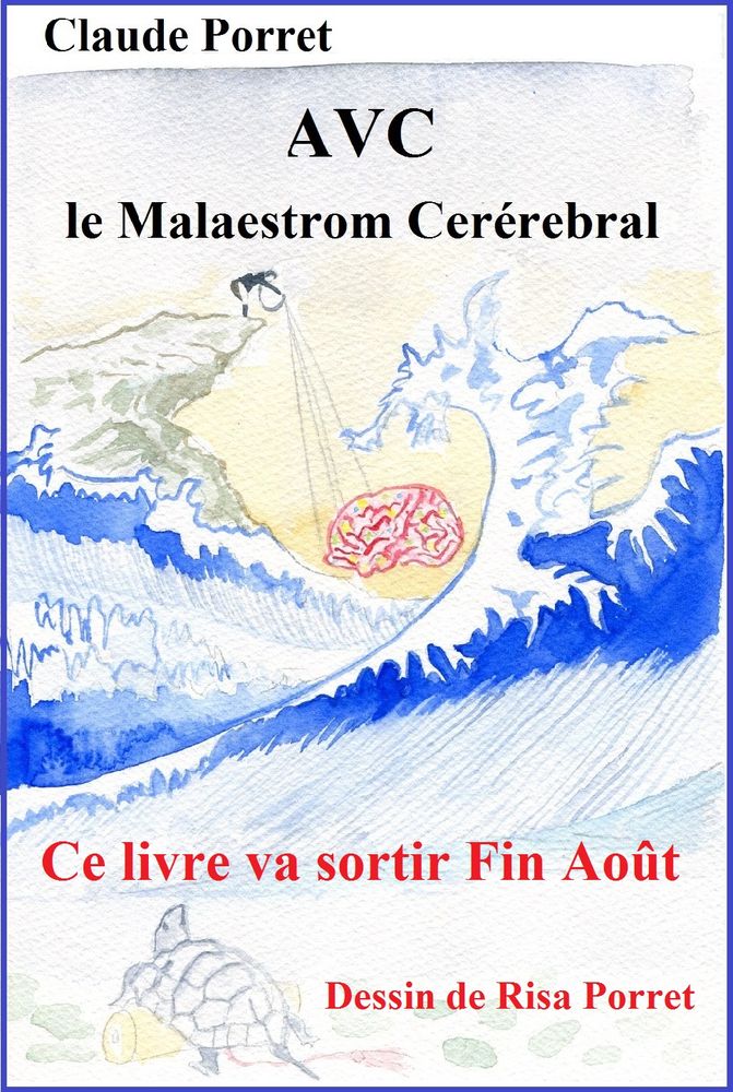  livre sur  l' AVC. 20 La Roche-sur-Foron (74)