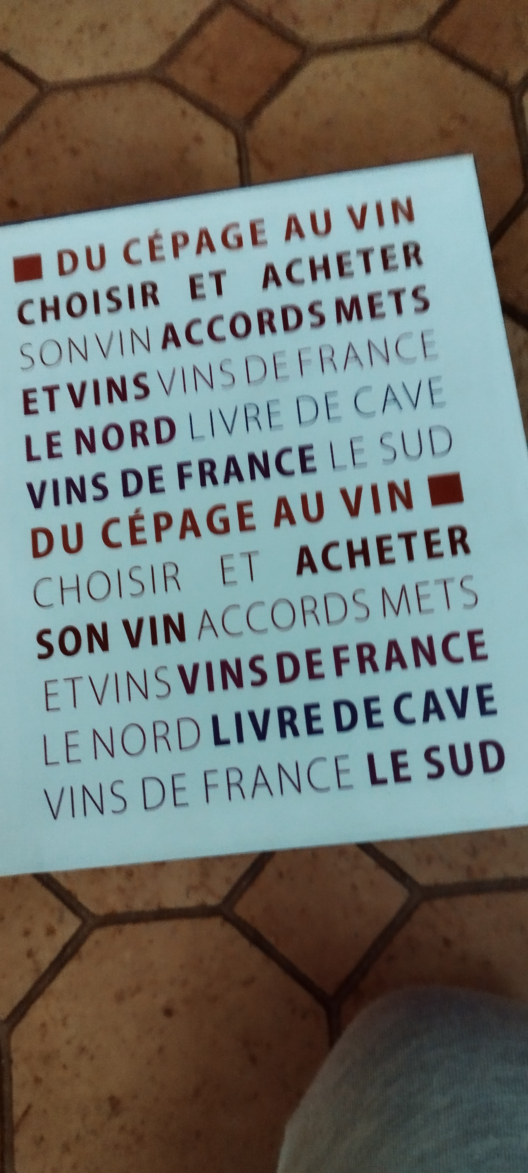 Livre sur le vin 15 Bassens (33)