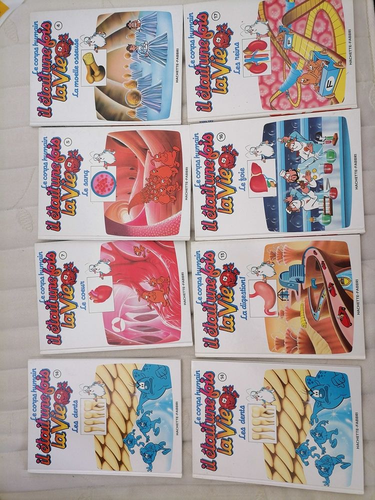 livre 50 Saint-Michel-de-Chavaignes (72)