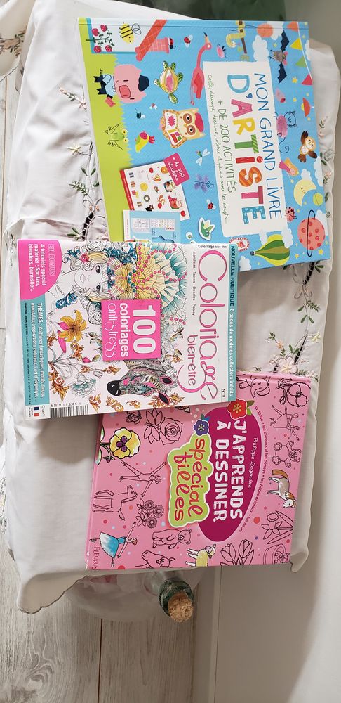 Livres d activit�s manuelle 10 Feins (35)