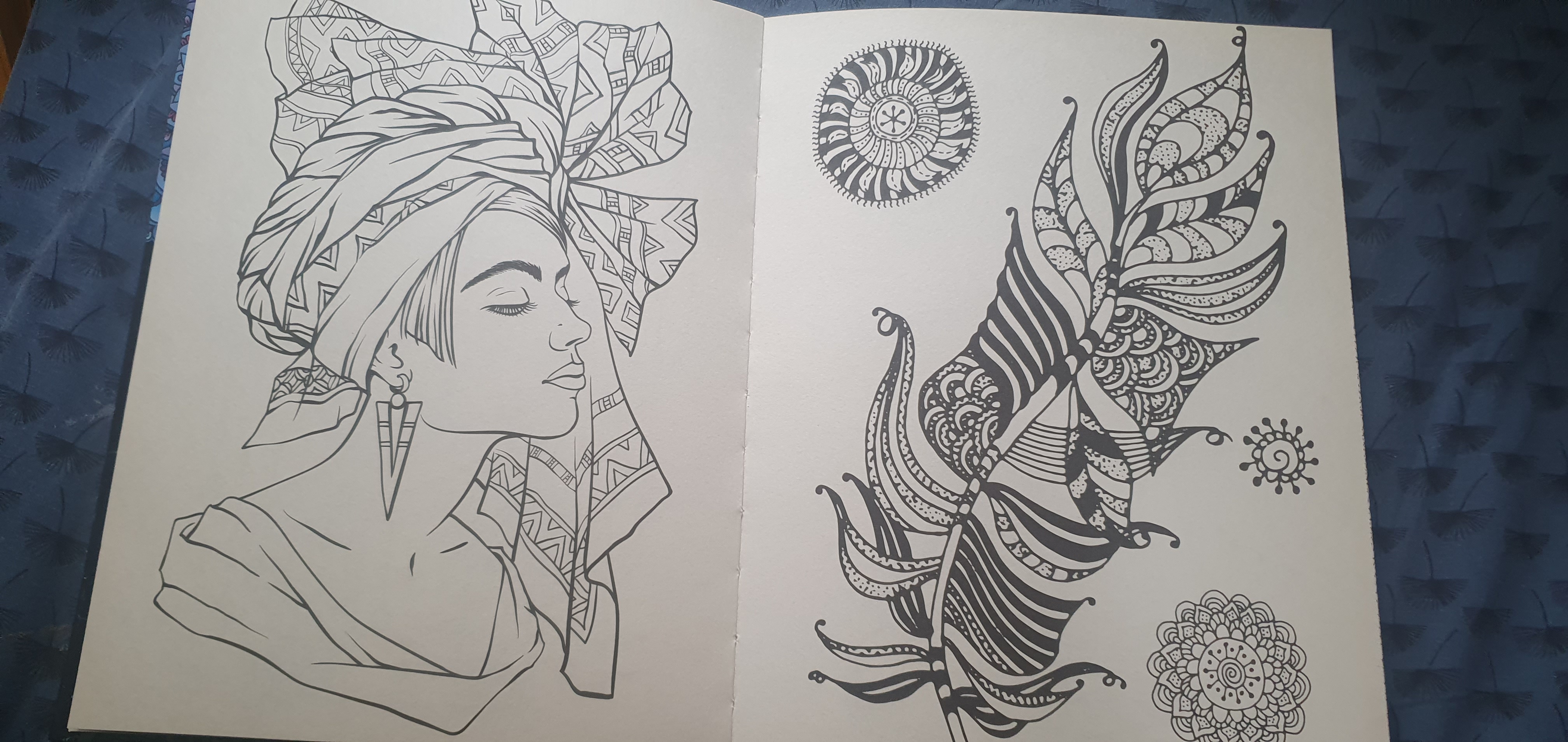 livres addulte seul 5euros et lot 5= 18Euros 5 Dax (40)