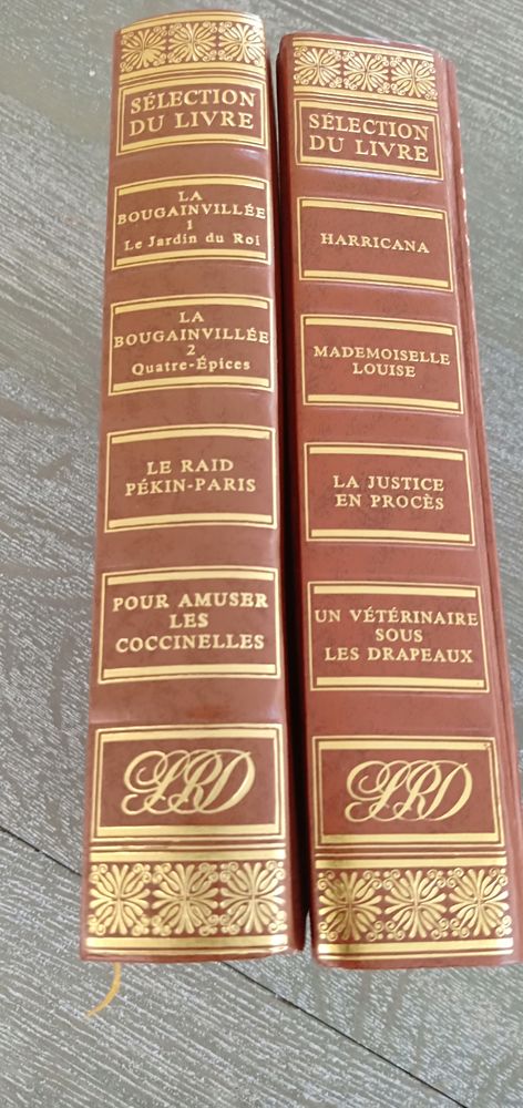 LIVRES ALPHONSE DAUDET 40 La Chapelle-Saint-Ursin (18)