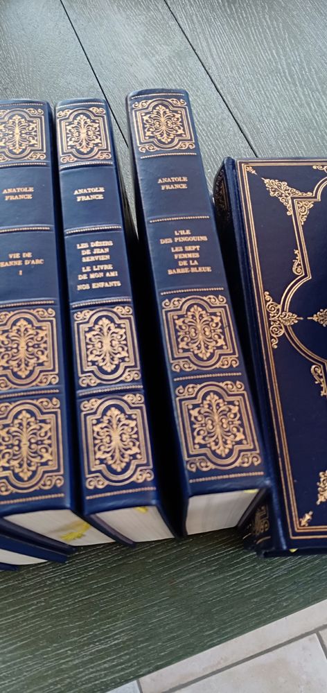  Livres Anatole France
30 La Chapelle-Saint-Ursin (18)