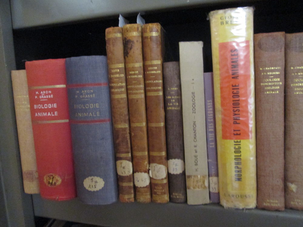 Livres anciens faune, animaux 5 Herblay (95)