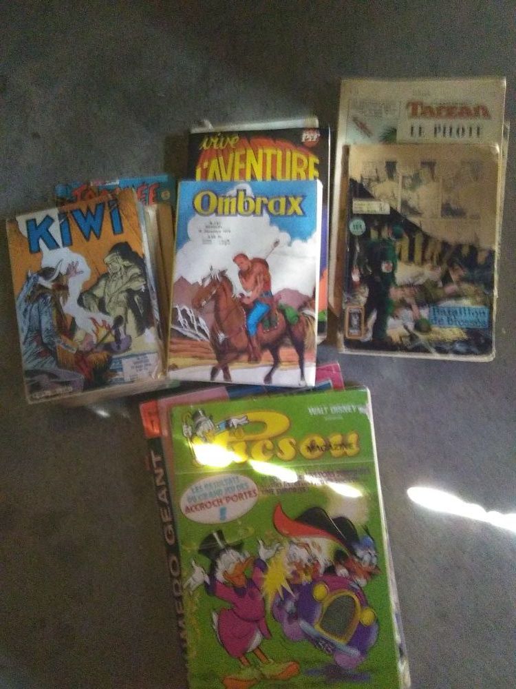 22 livres anciens de BD 10 Servian (34)