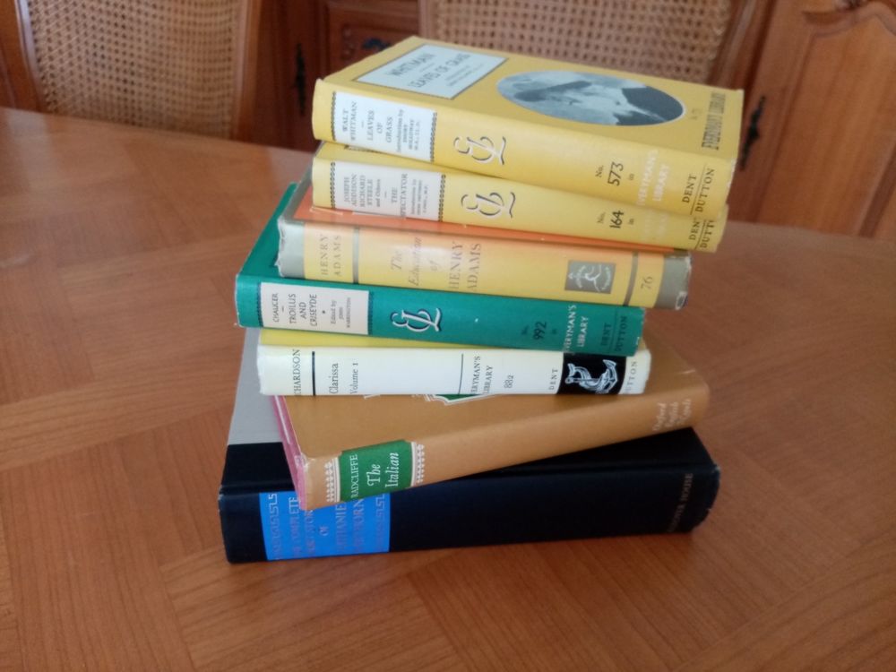 Livres en anglais et bilingues. 3 Digne-les-Bains (04)