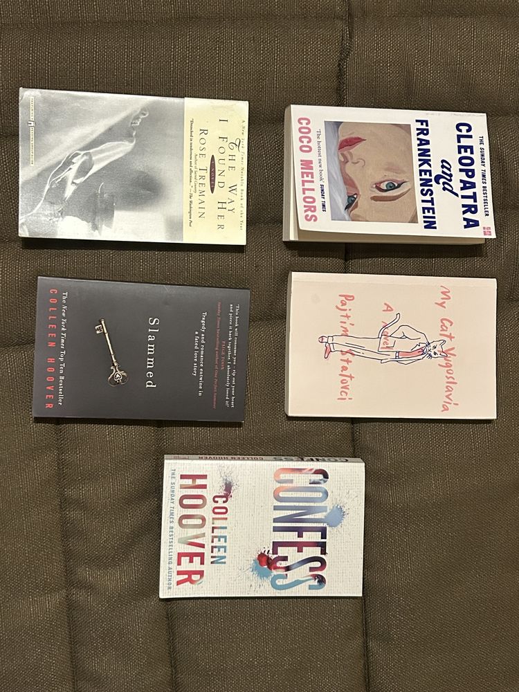 livres en anglais 2 Dissay (86)