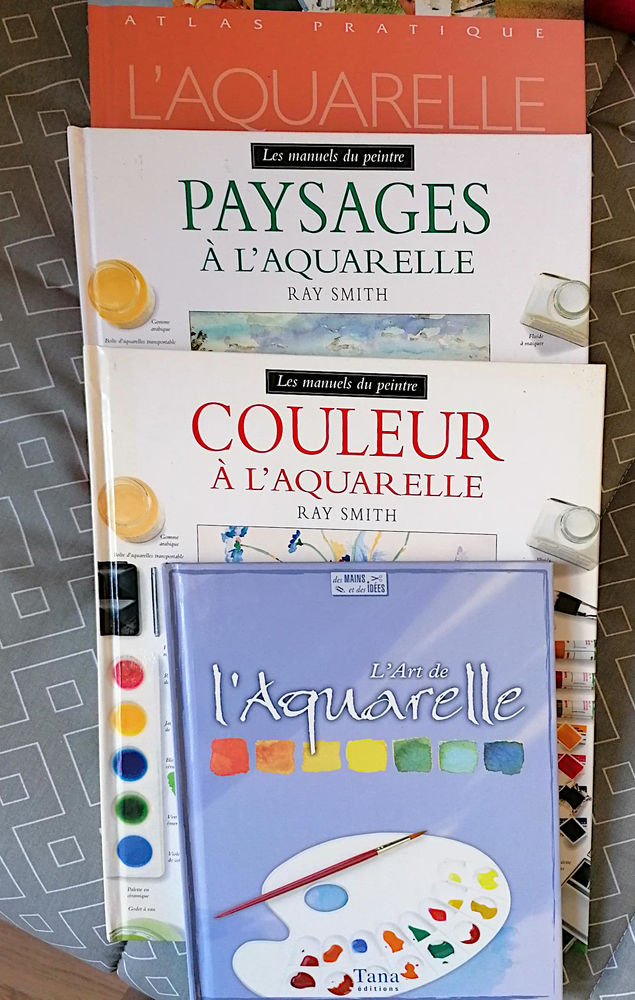 livres sur l'aquarelle 40 Fontaine-le-Comte (86)
